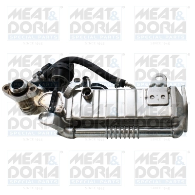 EGR Module